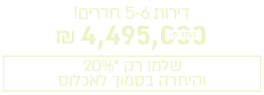 דירות 5-6 חדרים!